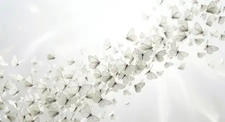 Free Plain White Background Printable Background Background Image Download