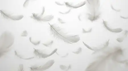 plain white background texture hd