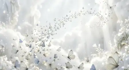 plain white background wallpaper free