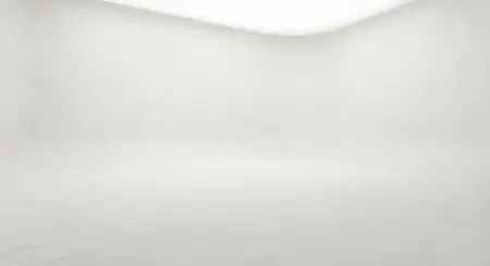 Plain White Background With Soft Paper Texture - Free Background Download