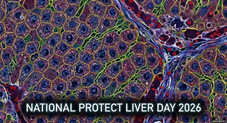 Protect Liver Day Short Video Ideas - Free National Protect Liver Day 2026 Download