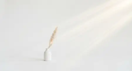 Realistic White Background Hd With Soft Shadow For Mockup - Free White Download