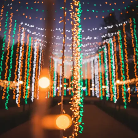 republic day background for stage decoration