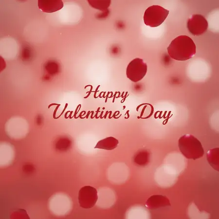 Free Romantic Valentines Day Flower Bouquet Images Background Download