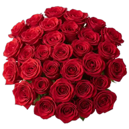 Rose Bouquet Png Flower Png - Free Rose Bouquet Png Download