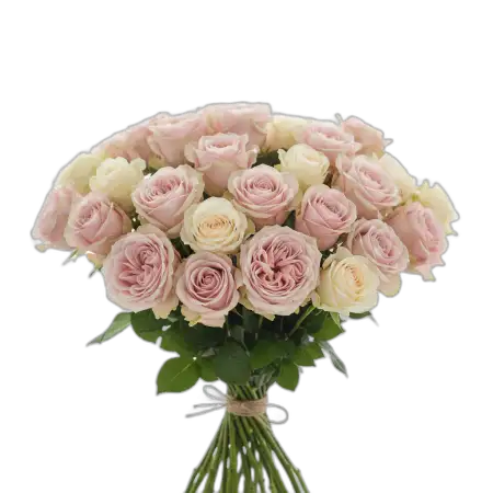 Rose Bouquet Png No Background - Free Rose Bouquet Png Download