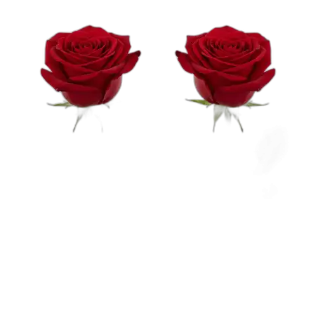 Rose Png Decoration Element