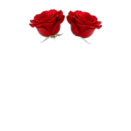 Free Rose Png Flower Art PNG Image Download