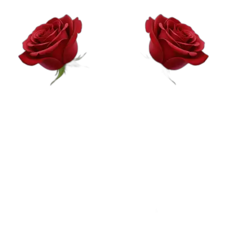 Free Rose Png Hand Drawn Style PNG Image Download
