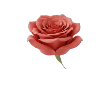 Free Rose Png Invitation Background PNG Image Download