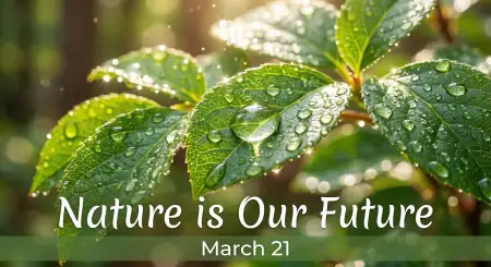 Free Save Trees Social Media Banner Design Image Download