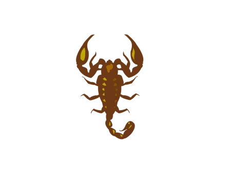 scorpion png vector psd clipart with transparent background photo for free download