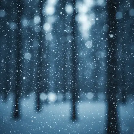 Snow Background For Reels - Free Snow Background Download