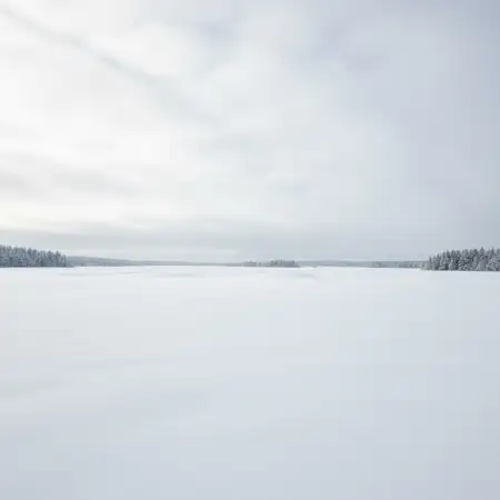 Snow Background Free Download - Free Snow Background Download