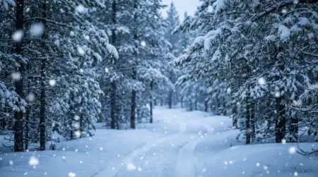 Snow Background With Falling Snowflakes - Free Snow Background Download