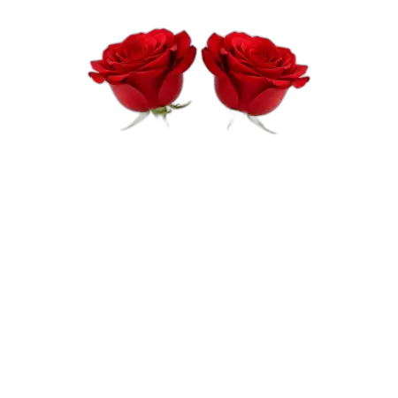 Free Stylish Rose Png Transparent Background For Valentine Gift PNG Image Download
