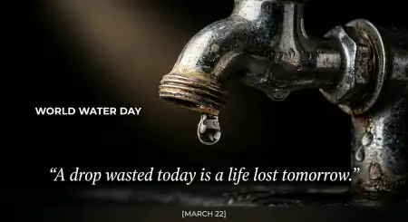 Top Save Water Slogans With Images - Free World Water Day Download