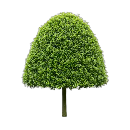 Free Tree Png Clean Edges PNG Image Download