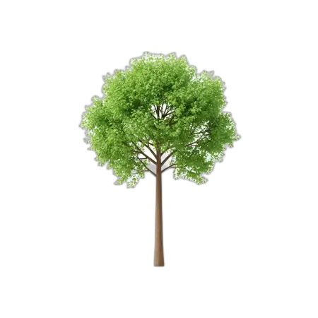 Free Tree Png For Animation PNG Image Download
