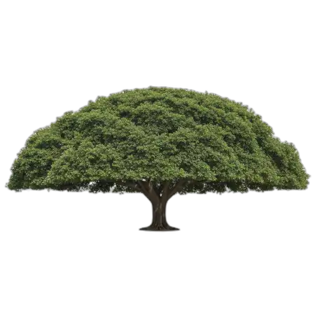 Free Tree Png For Background Design PNG Image Download
