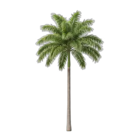 Free Tree Png For Environmental Awareness PNG Image Download