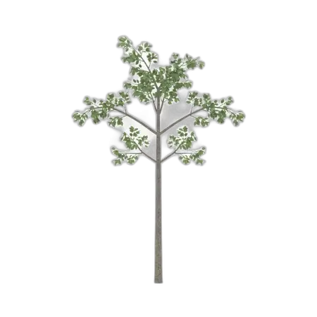 Free Tree Png For Mockup PNG Image Download