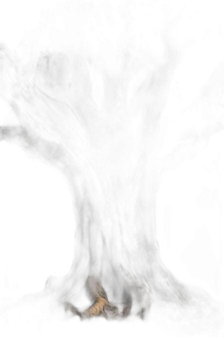 Free Tree Png For Nature Banner PNG Image Download