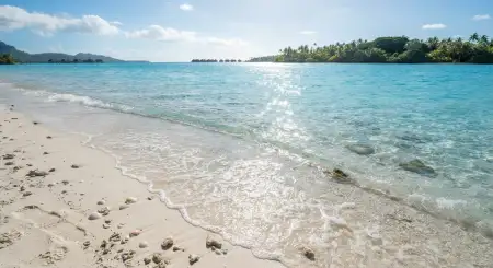 Tropical Sand Beach Background - Free Tropical Summer Background Download