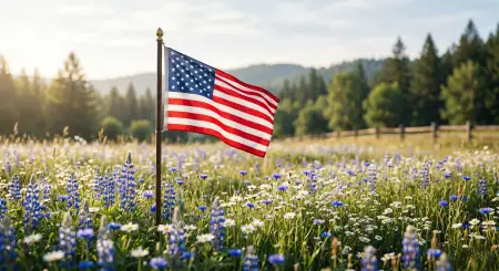 Usa Flag Pictures With Patriotic Military Appreciation Themes - Free Usa Flag Download
