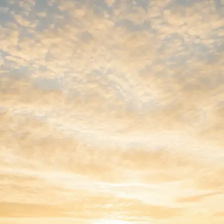 Free Vasant Panchami Background Plain Background Download