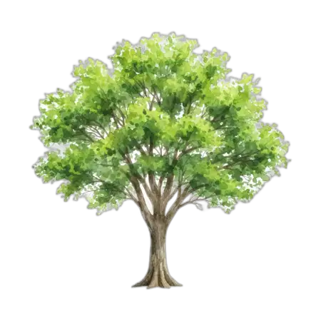 Free Watercolor Tree Png Transparent PNG Image Download