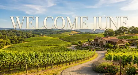 Welcome June 2026 Bright Summer Social Media Banner - Free Welcome June Download