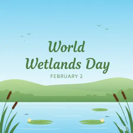 Free Wetlands Biodiversity Protection Background Download