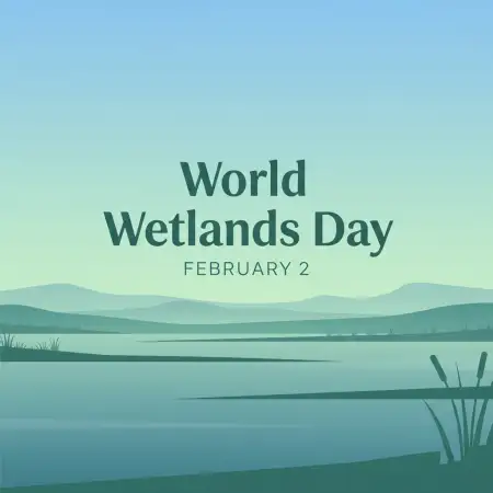 Free Wetlands Conservation Day Background Download