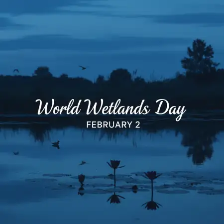 wetlands in india facts