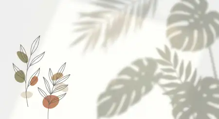 Free White Background Hd Blur Effect Background Image Download