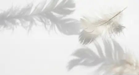 Free White Background Hd Desktop Wallpaper 2 Background Image Download