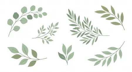 White Background Hd Images Free Download - Free White Download