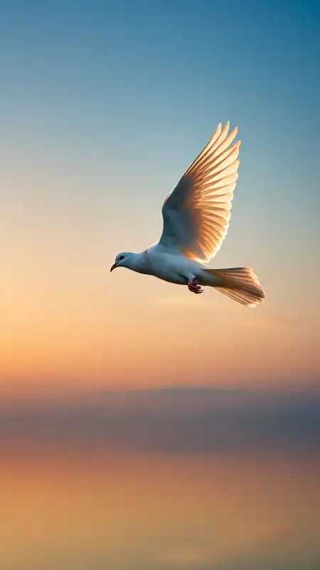 White Dove Flying In Blue Sky Christmas Design - Free Blue Sky Download