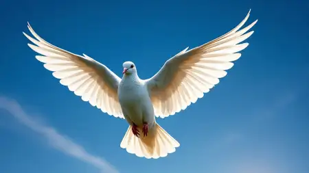 White Dove Flying In Blue Sky Symbol Of Faith - Free Blue Sky Download