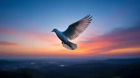 White Dove Flying In Blue Sky Symbol Of Unity - Free Blue Sky Download