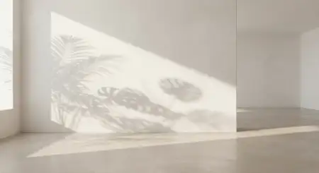 White Wall Background With Indoor Plants - Free White Wall Background Download