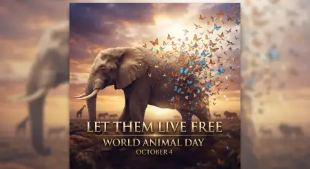 world animal day animal welfare quotes 2026 - World Animal Day 2026
