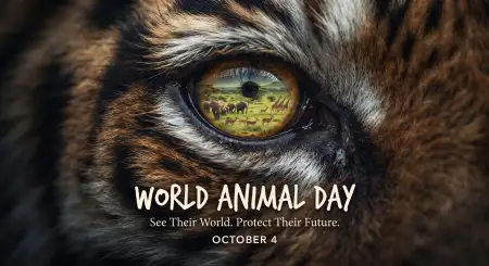 world animal day wildlife png transparent 2026