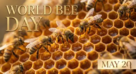 World Bee Day 2026 Linkedin Post Banner - Free World Bee Day 2026 Download