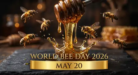 World Bee Day 2026 Theme - Free World Bee Day 2026 Download