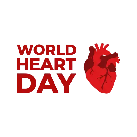 world heart day human heart png - Valentines Day Wedding Couple Png Art Free Download