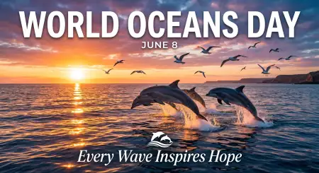World Oceans Day Educational Social Media Post - Free World Oceans Day Social Media Post Download