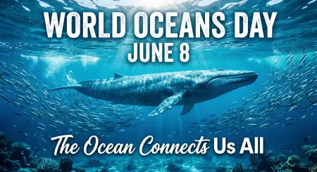 World Oceans Day Linkedin Social Media Post - Free World Oceans Day Social Media Post Download