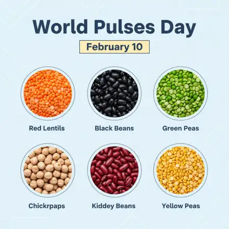 Free World Pulses Day Climate Friendly Food Background Download
